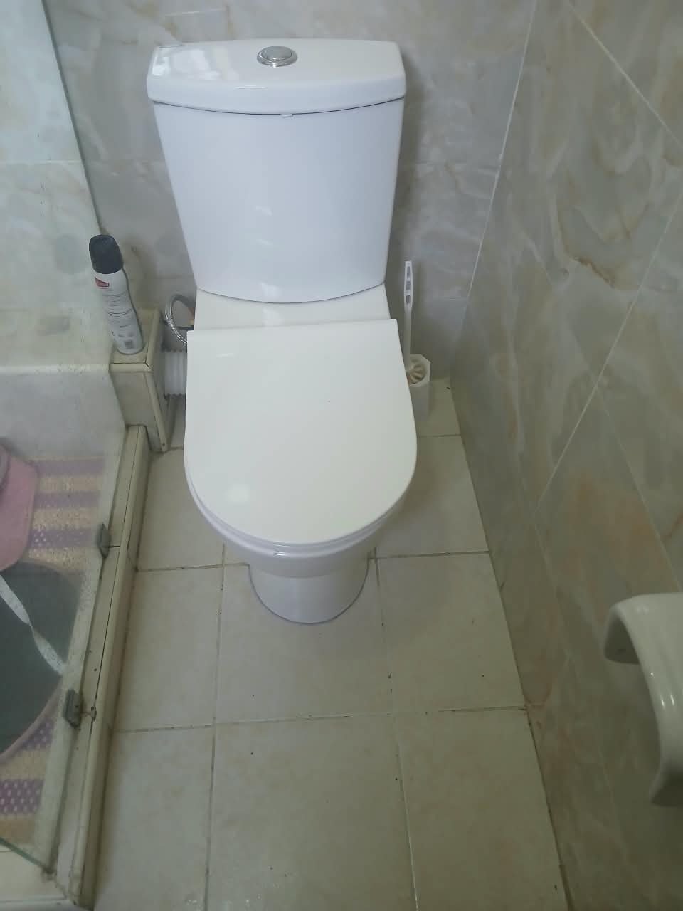Marble-Tile Bathroom Fixtures — WC and fixtures in place